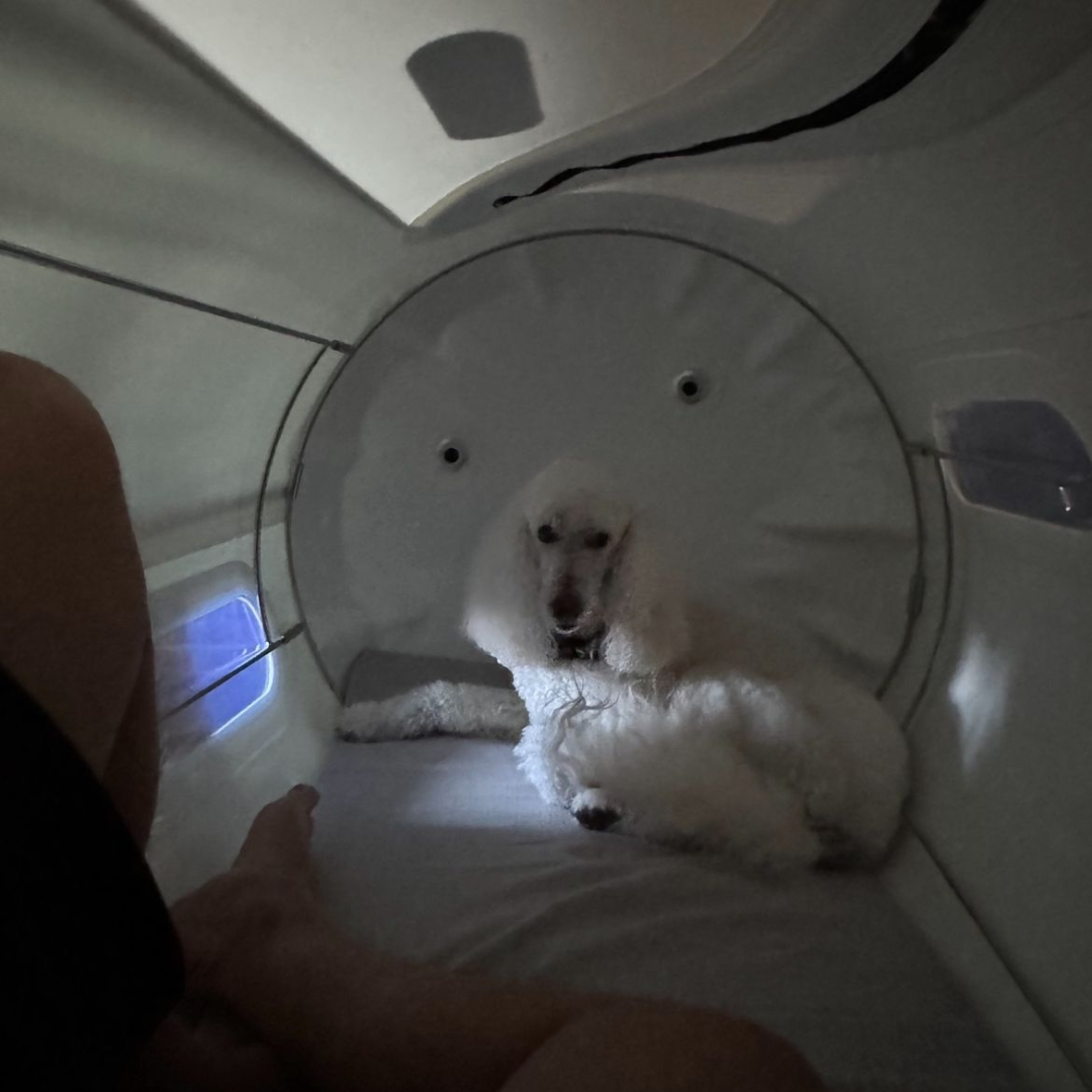 hyperbaric chamber for dogs