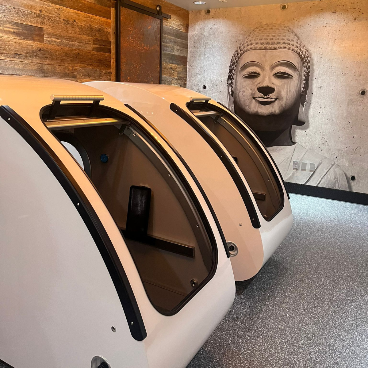 Airvida Elite 2.0 ATA Hyperbaric Wellness Chamber