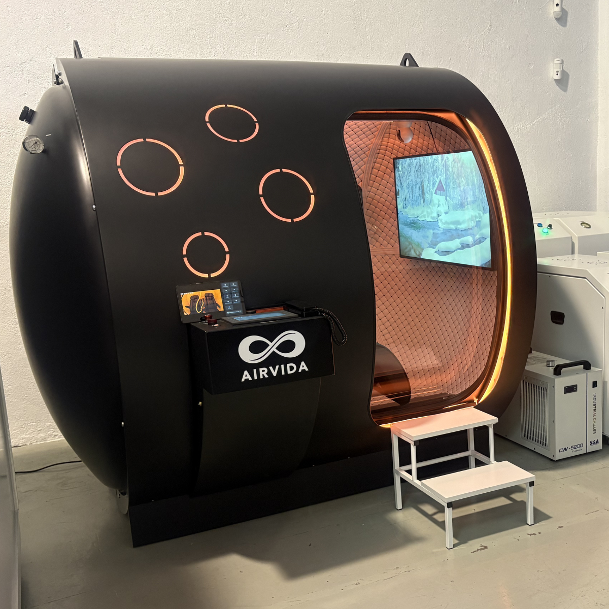 Airvida Multiplace Hyperbaric Chamber-Phoenix 2