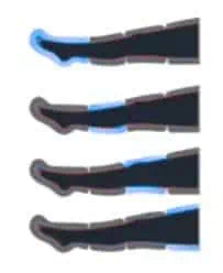 Circulation